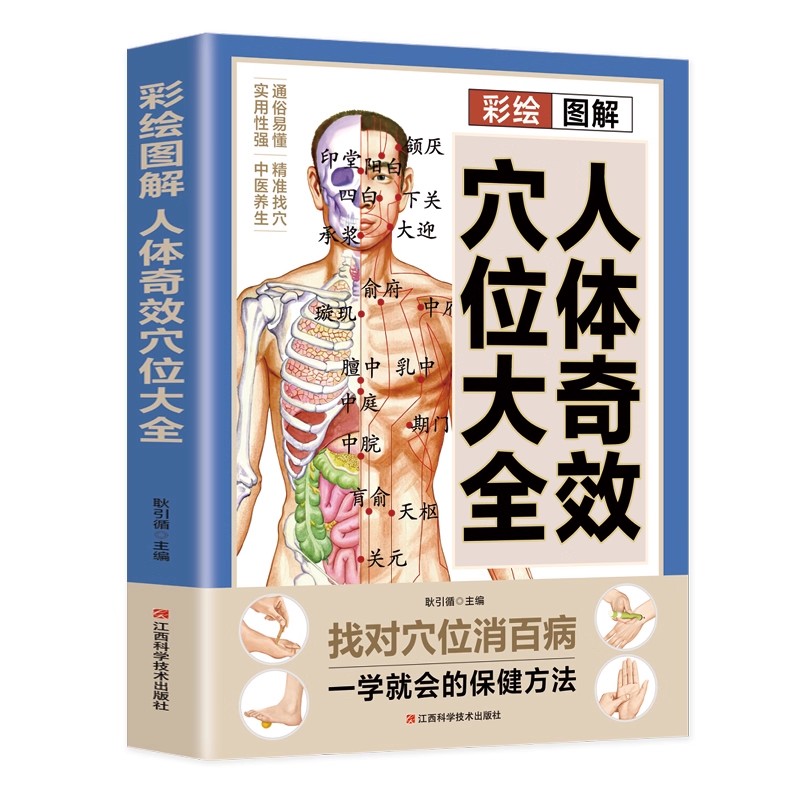 คู่มือการนวดจุดฝังเข็มและการดู - Health & Wellness Japan 2026 บทวิจารณ์และราคา